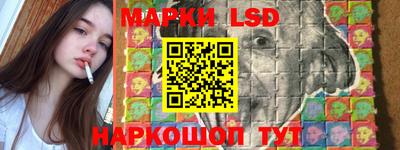 шишки Будённовск