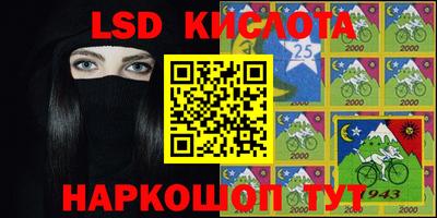 шишки Будённовск