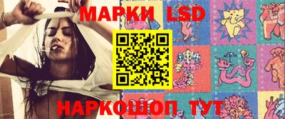 шишки Будённовск