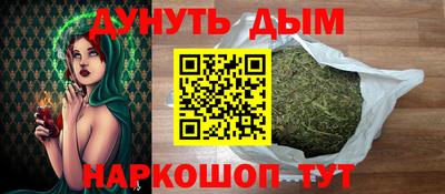 шишки Будённовск