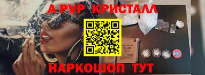 шишки Будённовск