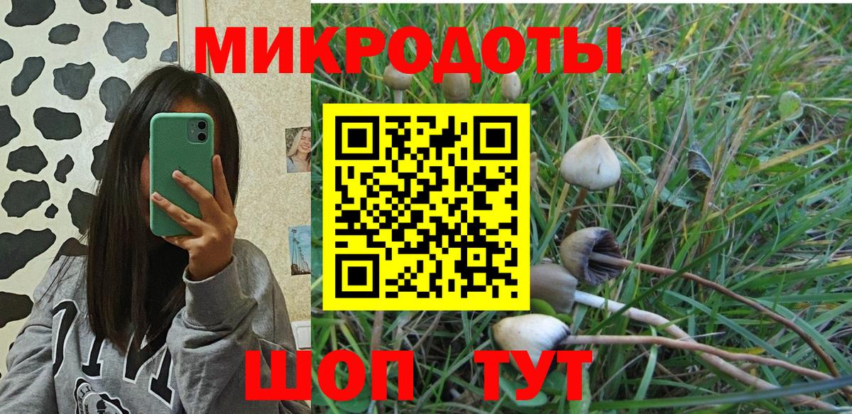 Галлюциногенные грибы Psilocybe Ростов-на-Дону